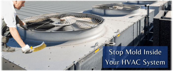 HVAC Mold Removal Shorewood IL